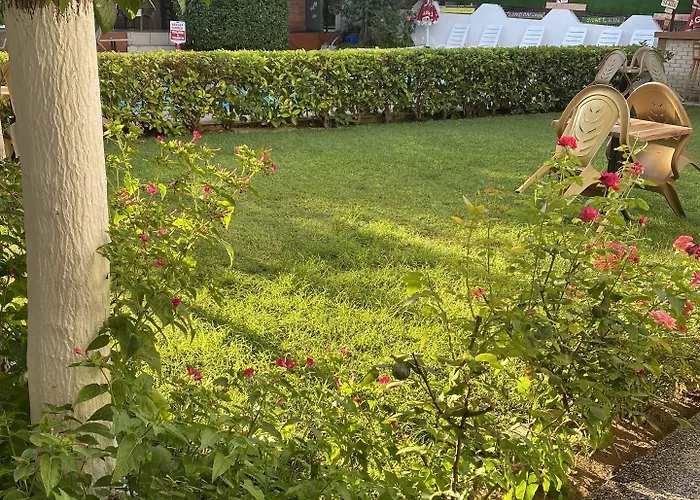 Sunrise Aya Памуккале