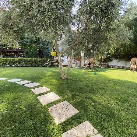 Sunrise Aya Pamukkale