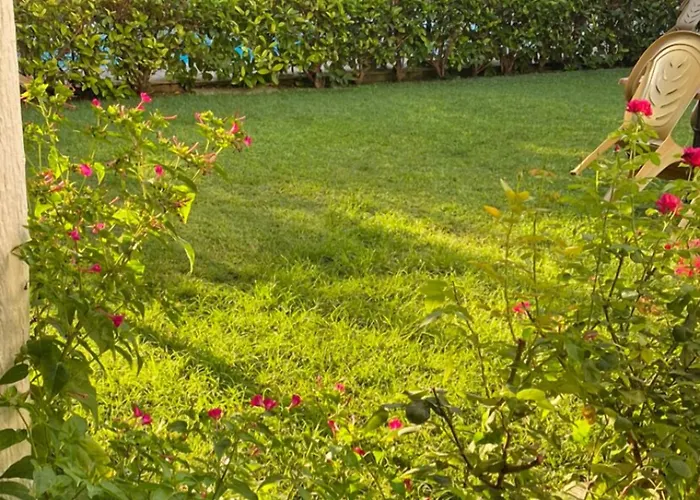 Sunrise Aya Pamukkale